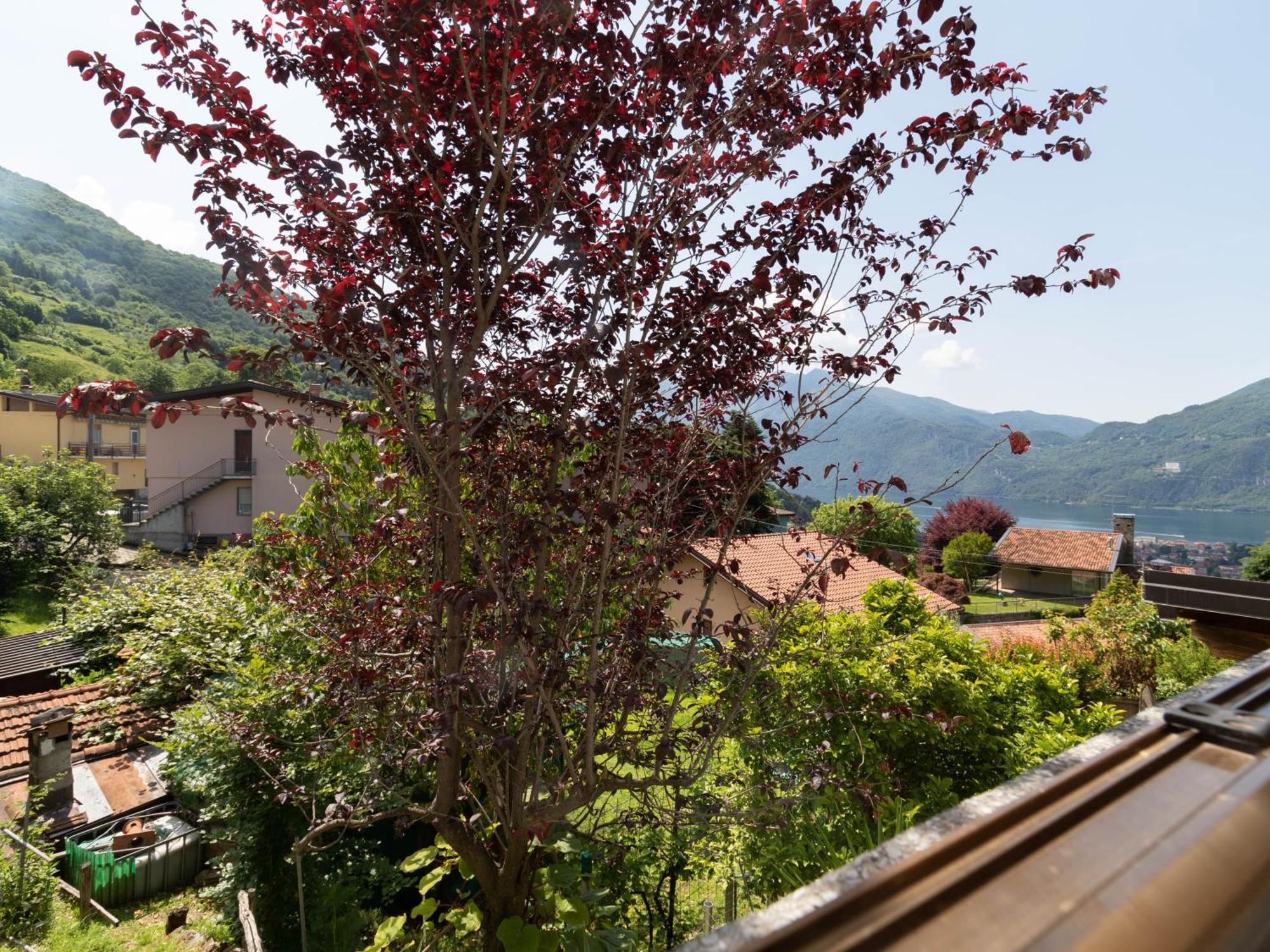 Mamma Ciccia Holiday Home - Mountains & Lake Mandello del Lario Kültér fotó